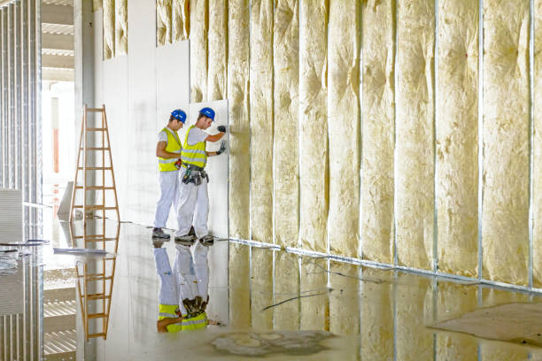 Best Energy Efficiency Insulation in Spring Lake, NJ